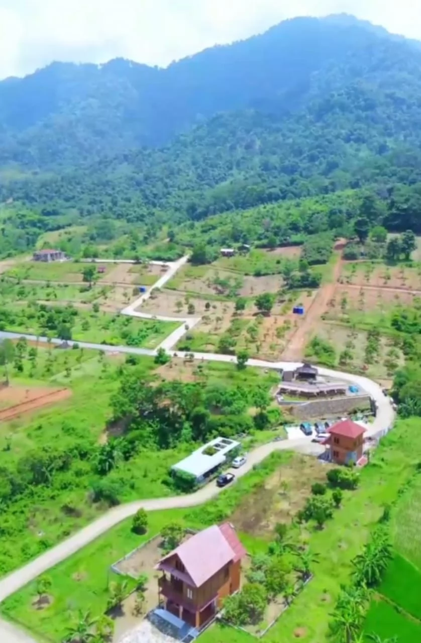 Tanah Kavling Vila dan Kebun Wisata Duren Terbesar di Bogor